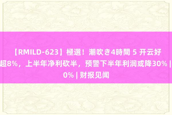 【RMILD-623】極選！潮吹き4時間 5 开云好意思股跌超8%，上半年净利砍半，预警下半年利润或降30% | 财报见闻