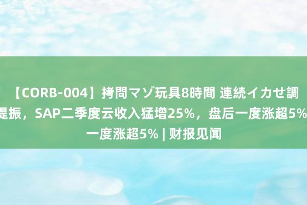 【CORB-004】拷問マゾ玩具8時間 連続イカせ調教 AI需求提振，SAP二季度云收入猛增25%，盘后一度涨超5% | 财报见闻