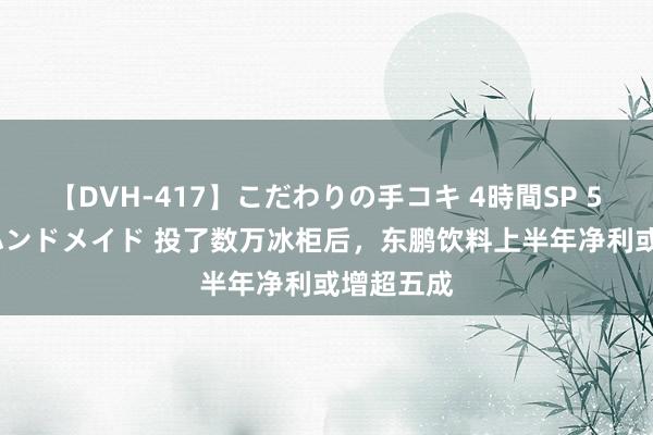 【DVH-417】こだわりの手コキ 4時間SP 5 30人のハンドメイド 投了数万冰柜后，东鹏饮料上半年净利或增超五成