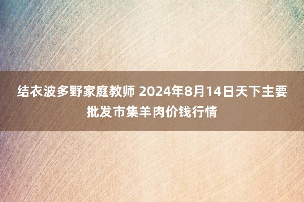 结衣波多野家庭教师 2024年8月14日天下主要批发市集羊肉价钱行情