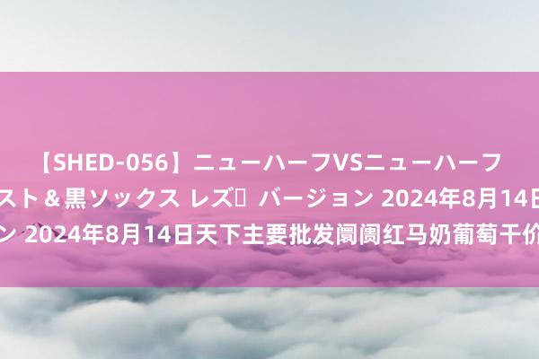 【SHED-056】ニューハーフVSニューハーフ 不純同性肛遊 3 黒パンスト＆黒ソックス レズ・バージョン 2024年8月14日天下主要批发阛阓红马奶葡萄干价钱行情