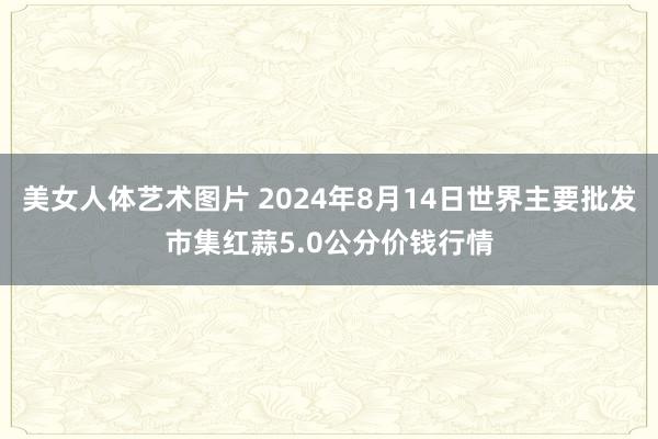 美女人体艺术图片 2024年8月14日世界主要批发市集红蒜5.0公分价钱行情