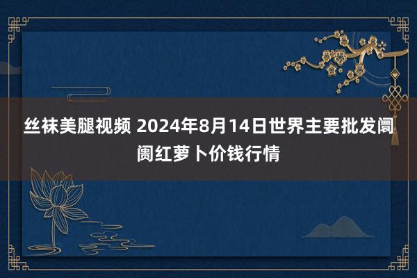 丝袜美腿视频 2024年8月14日世界主要批发阛阓红萝卜价钱行情