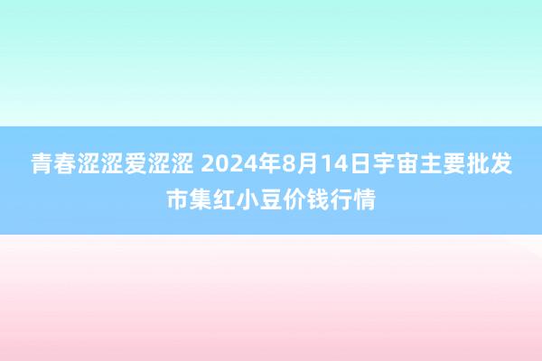 青春涩涩爱涩涩 2024年8月14日宇宙主要批发市集红小豆价钱行情