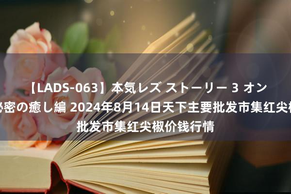 【LADS-063】本気レズ ストーリー 3 オンナだけの秘密の癒し編 2024年8月14日天下主要批发市集红尖椒价钱行情