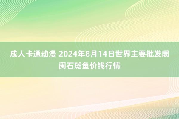 成人卡通动漫 2024年8月14日世界主要批发阛阓石斑鱼价钱行情