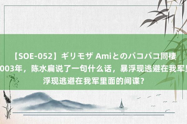 【SOE-052】ギリモザ Amiとのパコパコ同棲生活 Ami 2003年，陈水扁说了一句什么话，暴浮现逃避在我军里面的间谍？