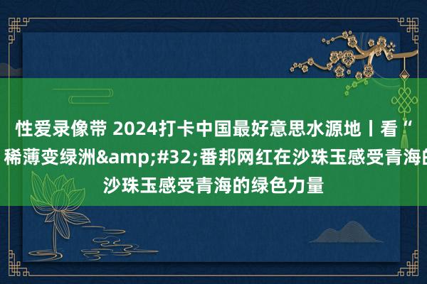 性爱录像带 2024打卡中国最好意思水源地丨看“绿进沙退”稀薄变绿洲&#32;番邦网红在沙珠玉感受青海的绿色力量