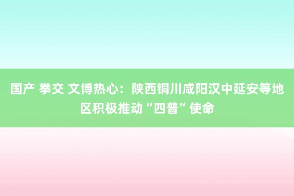 国产 拳交 文博热心：陕西铜川咸阳汉中延安等地区积极推动“四普”使命