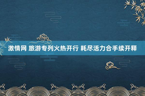 激情网 旅游专列火热开行 耗尽活力合手续开释