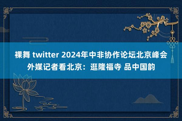 裸舞 twitter 2024年中非协作论坛北京峰会外媒记者看北京：逛隆福寺 品中国韵