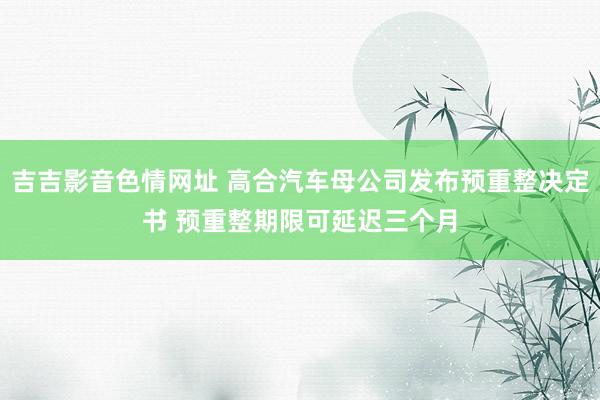 吉吉影音色情网址 高合汽车母公司发布预重整决定书 预重整期限可延迟三个月