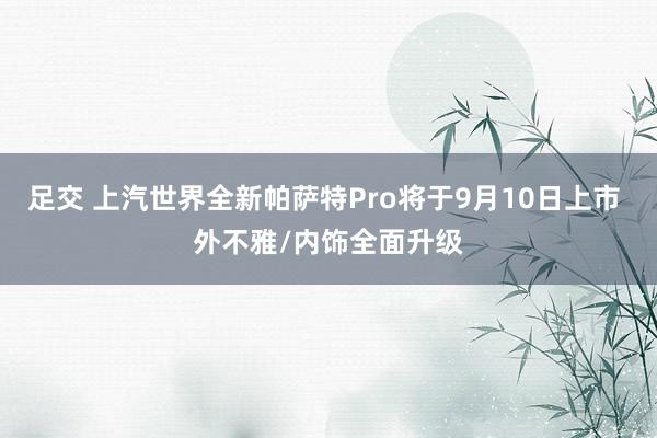 足交 上汽世界全新帕萨特Pro将于9月10日上市 外不雅/内饰全面升级