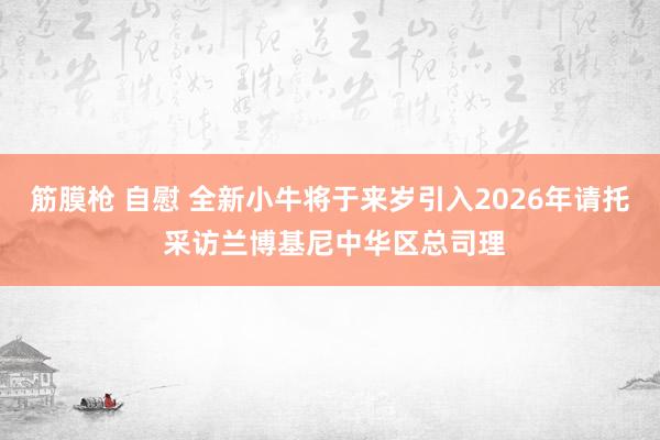 筋膜枪 自慰 全新小牛将于来岁引入2026年请托 采访兰博基尼中华区总司理