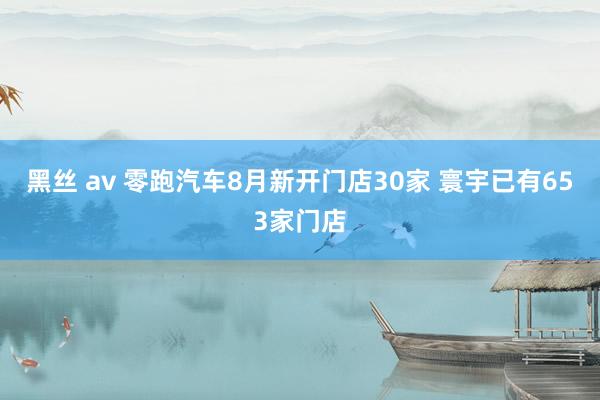 黑丝 av 零跑汽车8月新开门店30家 寰宇已有653家门店