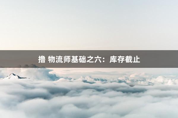 撸 物流师基础之六：库存截止