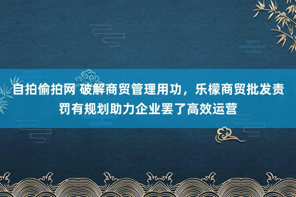 自拍偷拍网 破解商贸管理用功，乐檬商贸批发责罚有规划助力企业罢了高效运营