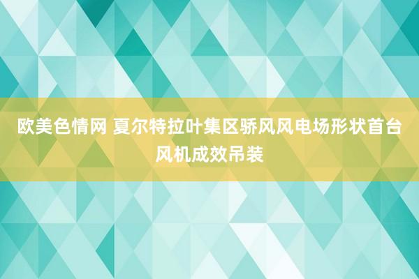 欧美色情网 夏尔特拉叶集区骄风风电场形状首台风机成效吊装