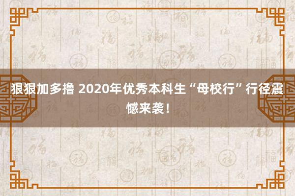 狠狠加多撸 2020年优秀本科生“母校行”行径震憾来袭！