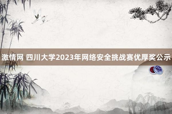 激情网 四川大学2023年网络安全挑战赛优厚奖公示